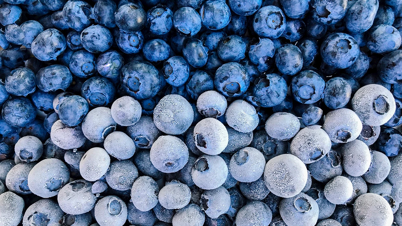 Blueberry